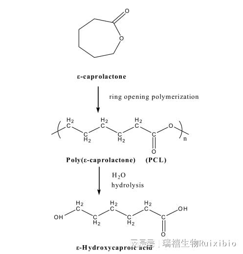 名侦探柯南 灰原哀物语～黑铁的神秘列车 视频海报