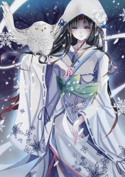 圆环行动 视频缩略图