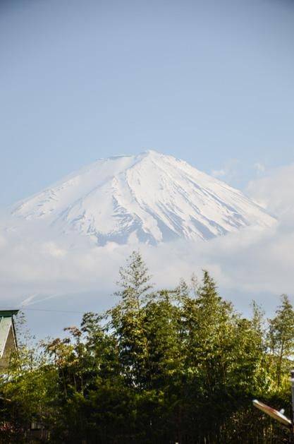 假装热情 视频海报