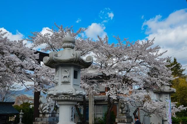 亲爱的大卫 视频主图