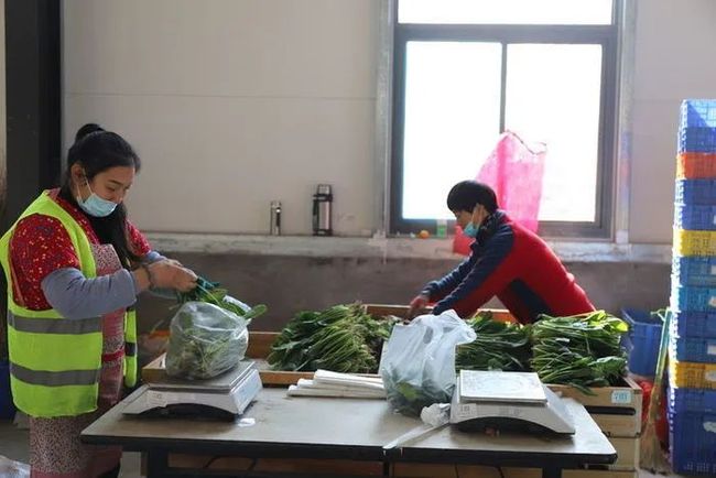 借兵 视频缩略图