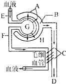 依兰爱情故事 视频海报