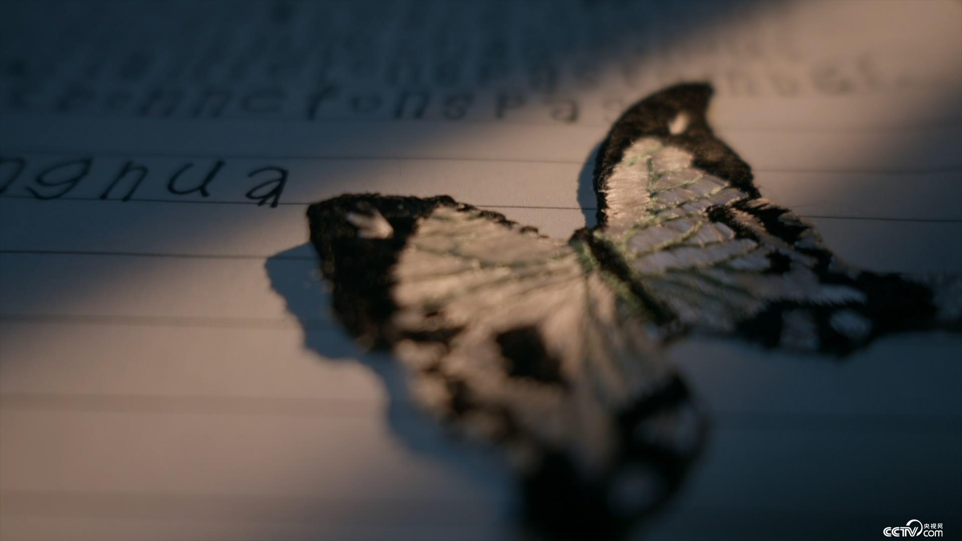 冷血追击（原声版） 视频主图