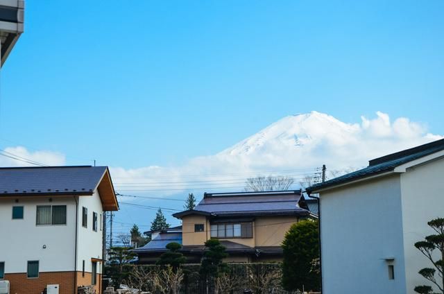 唐·海明威 视频主图