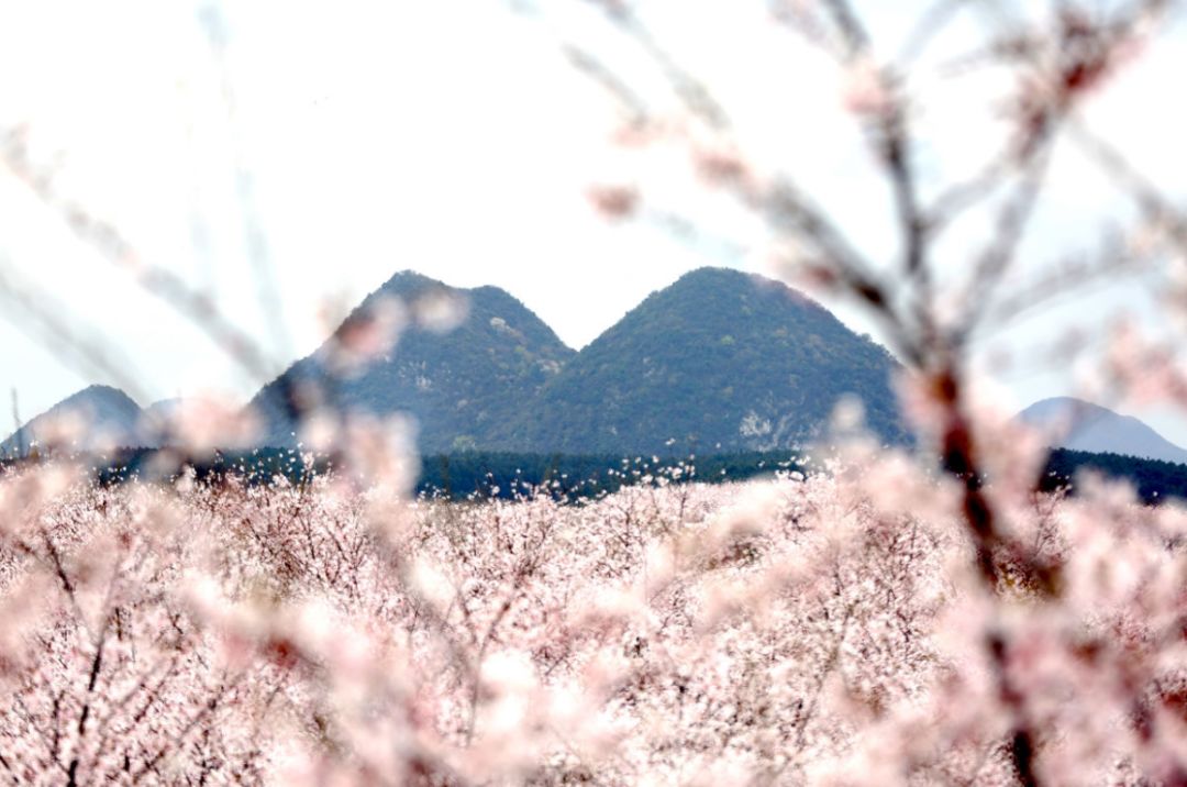 冰雪女王5：融冰之战 视频主图