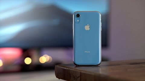 农场小牛牛：愚人节 视频缩略图