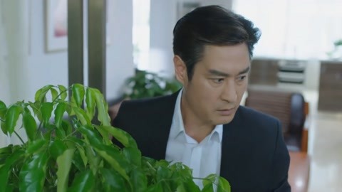 反诈风暴之猫鼠之战 视频海报