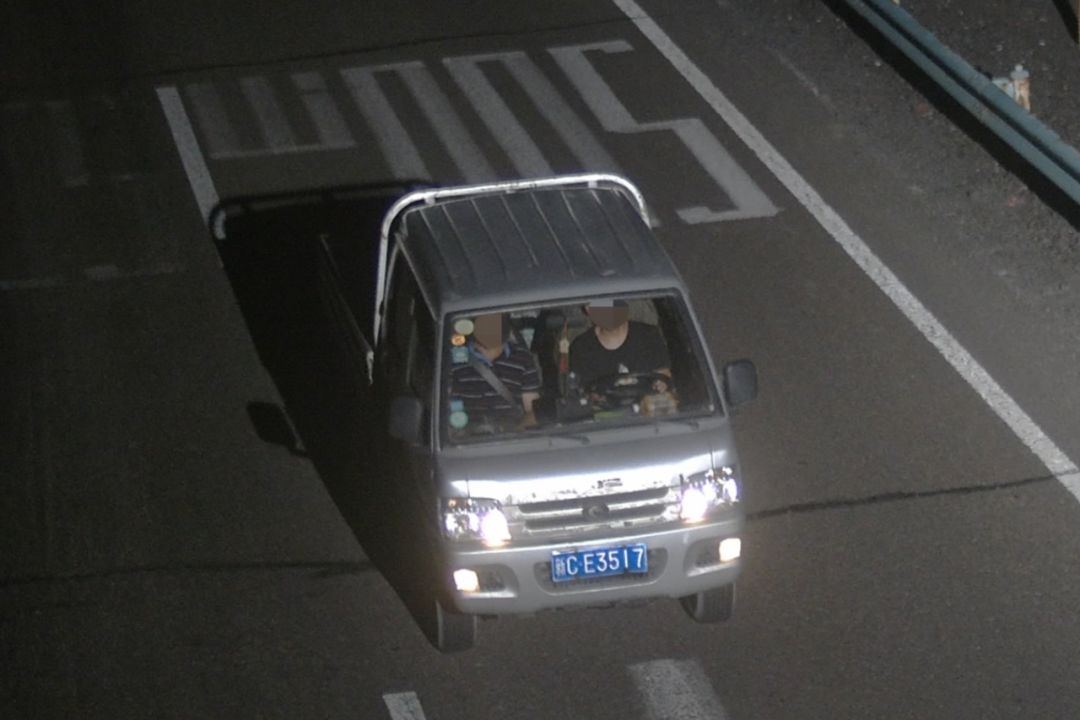 伊丽莎 施莱辛 不同的动物 视频缩略图