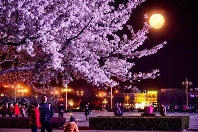 坚不可摧的男孩 视频海报