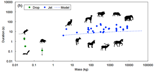 使徒行者2：谍影行动（国语版） 视频缩略图