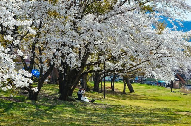你我之间 视频缩略图