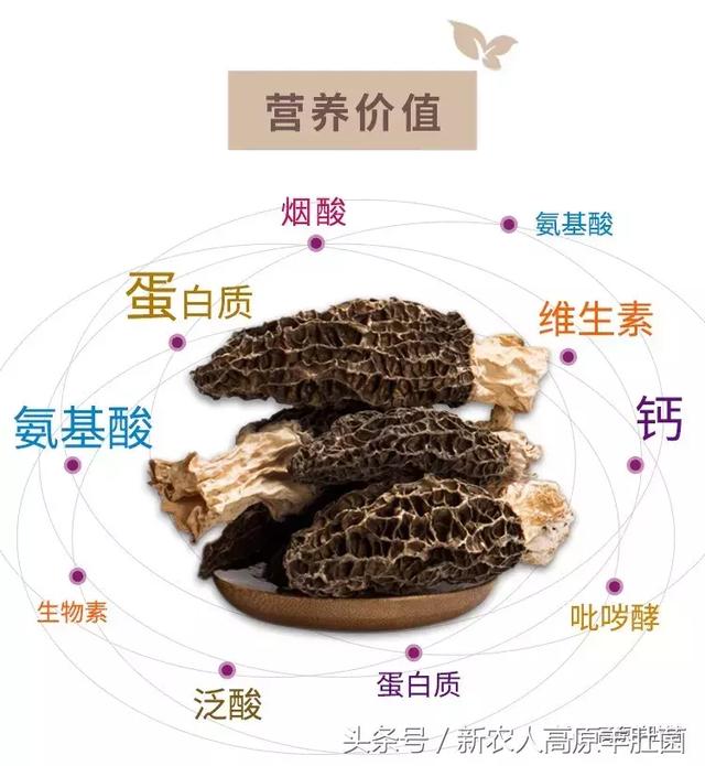 周一热潮 视频缩略图