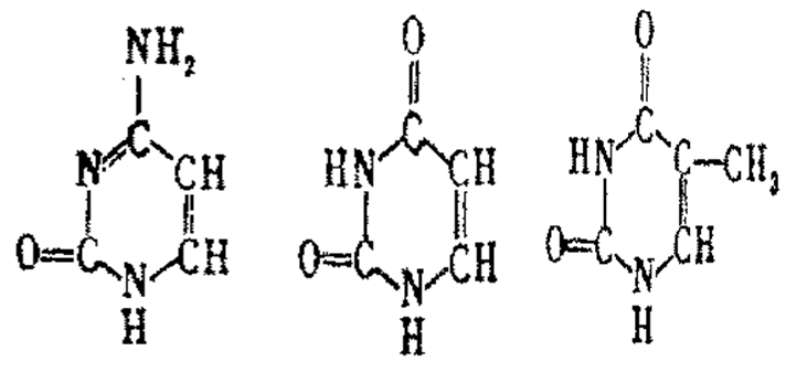 壮志者凌云 视频缩略图