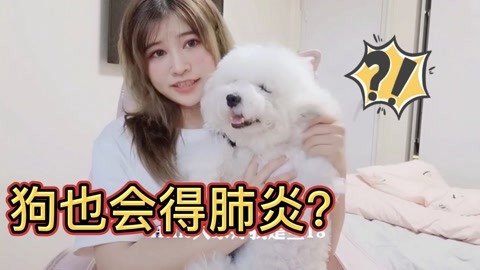 侠盗之星 视频海报