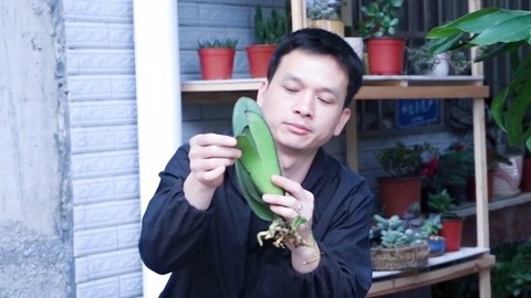 凯萨里 视频缩略图