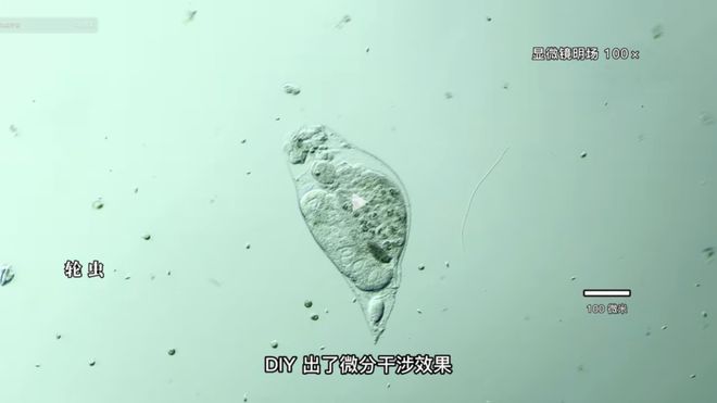 像这样的小事 视频缩略图