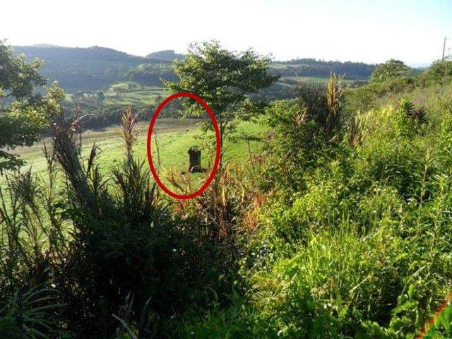 圣克莱尔 视频海报