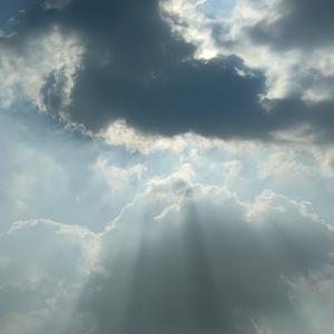 嗜血追凶 视频缩略图