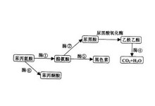 何者 视频缩略图