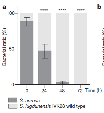 古玩大亨 视频缩略图