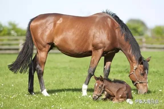 冲出逆境 视频缩略图