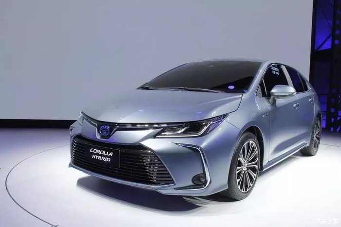 佣兵传奇 视频海报