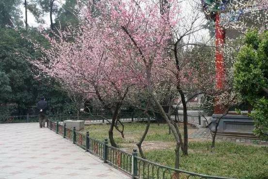 叛逆 视频缩略图