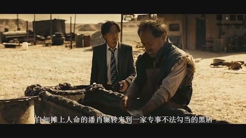 候鸟 视频缩略图