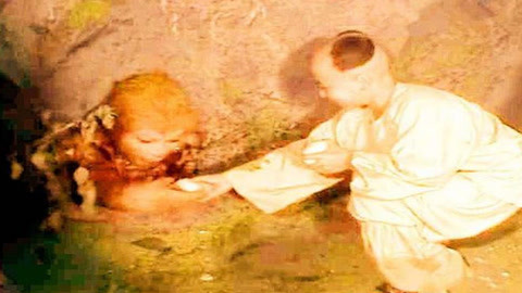 似曾不相识 视频缩略图