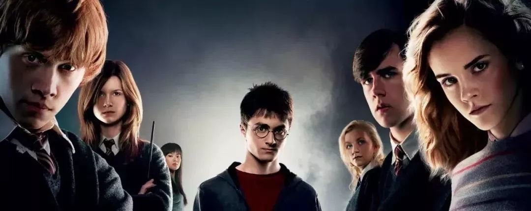 伊丽莎 施莱辛 不同的动物 视频缩略图