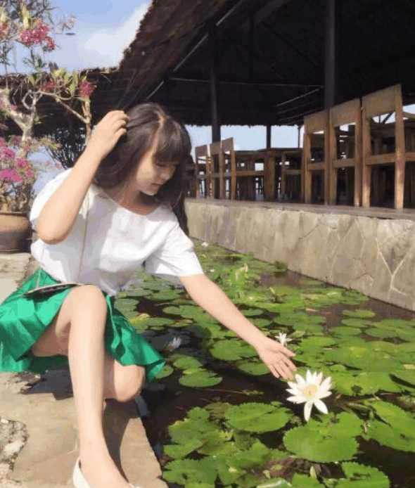 候鸟 视频缩略图