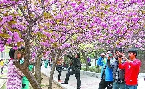 哭泣宝贝 视频海报