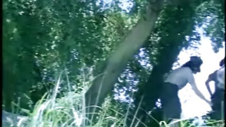 围墙之内 视频海报