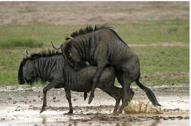 土耳其浴室 视频海报