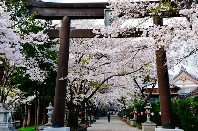 伤痕累累的恶魔 视频海报