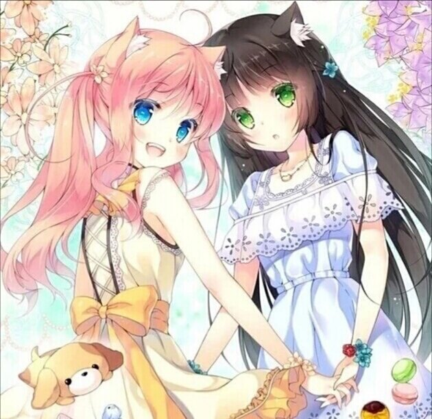 凯尔经的秘密 视频海报