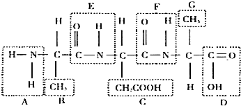 修女艾达 视频缩略图