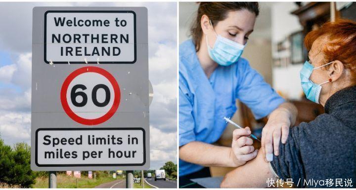 你们这些混蛋 视频海报