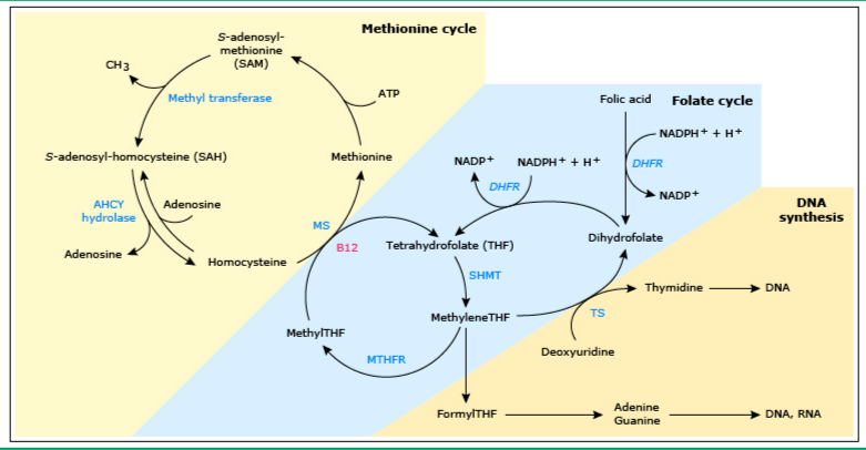 伏魔战士 视频缩略图