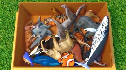 伤痕累累的恶魔 视频缩略图