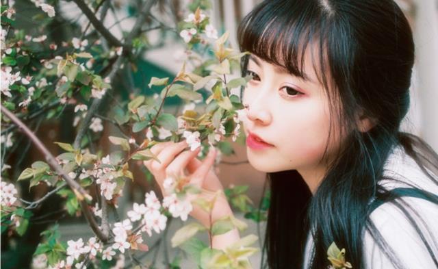 修女艾达 视频海报