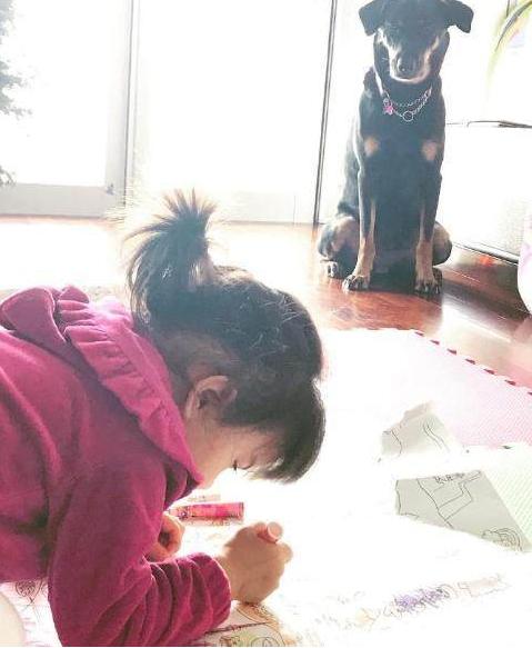 侵入者 视频缩略图