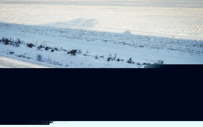 垫底联盟 视频缩略图