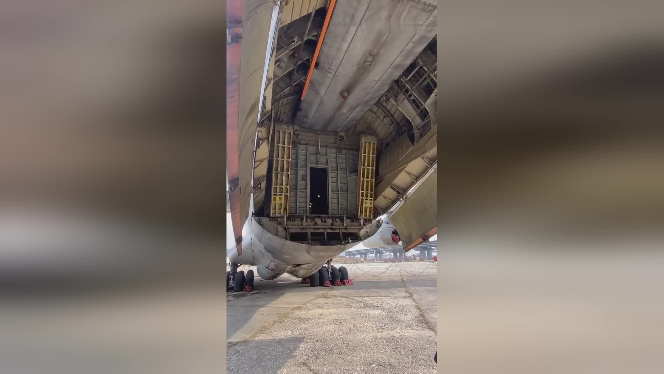 周一热潮 视频海报