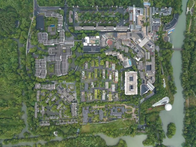 依兰爱情故事 视频主图