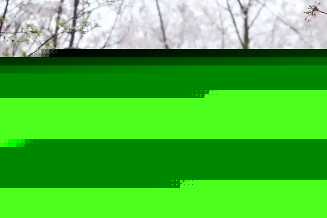 侠女传奇 视频缩略图