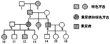 傻哥的逆袭 视频海报