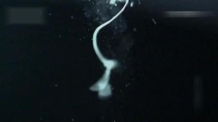 倒数第二次恋爱 2012秋SP 视频海报