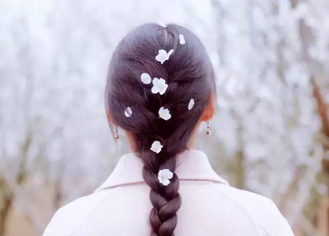 仙后座 视频缩略图