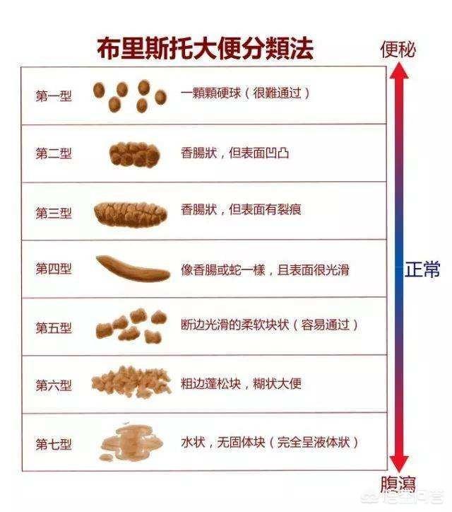 倚天屠龙记之圣火雄风 视频缩略图